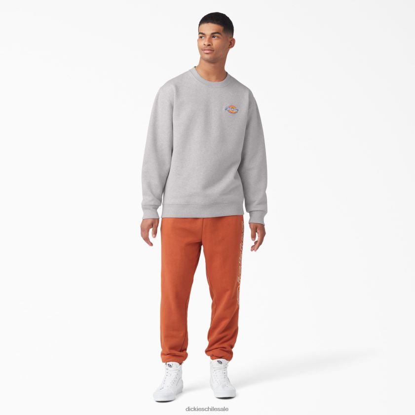 regular hombres sudadera con logo bordado en el pecho Dickies vestir X4H0F1131