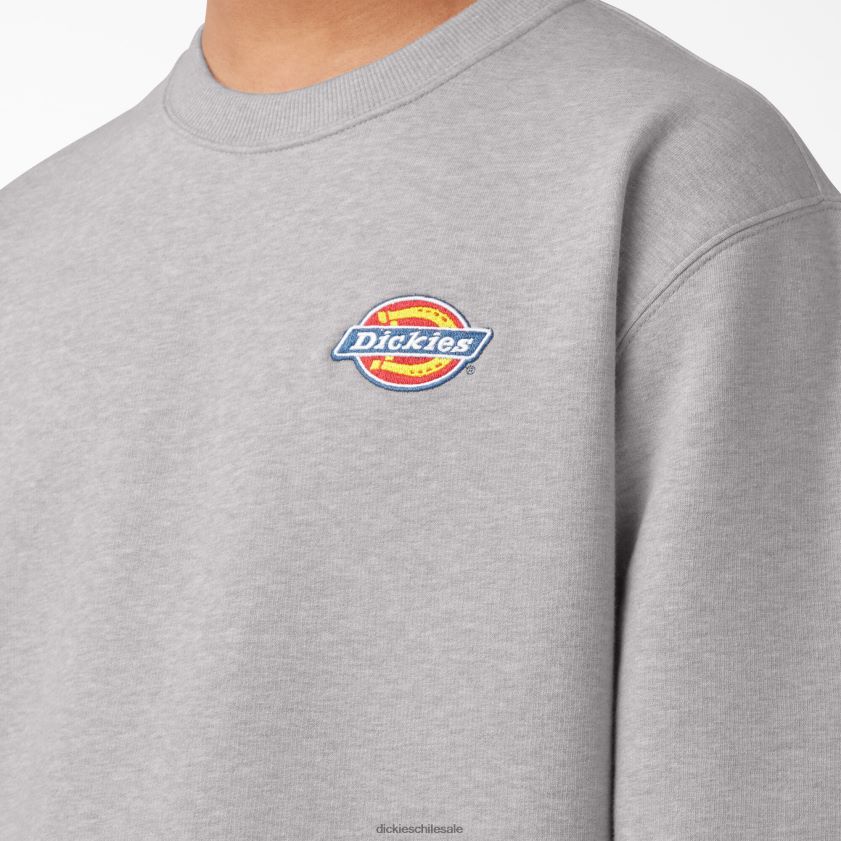 regular hombres sudadera con logo bordado en el pecho Dickies vestir X4H0F1131