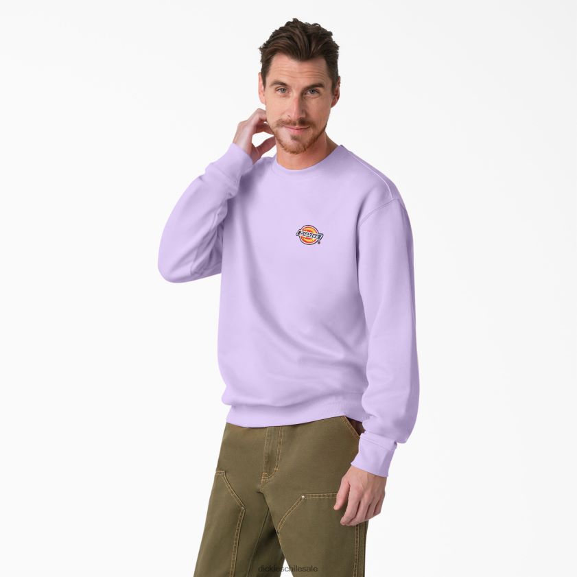 regular hombres sudadera con logo bordado en el pecho Dickies vestir X4H0F1134