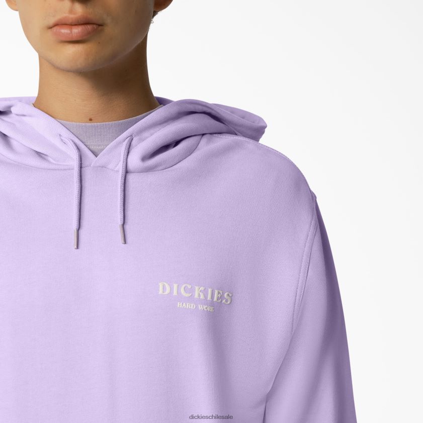 rosa morada (ur2) hombres sudadera con capucha Dickies vestir X4H0F1170